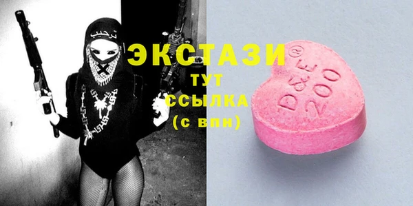 ECSTASY Алзамай
