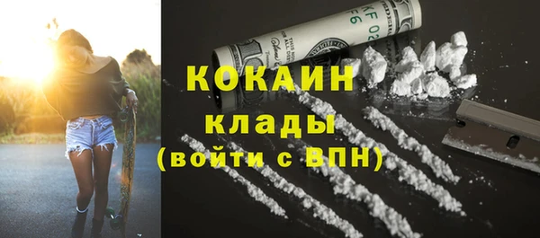 ECSTASY Алзамай