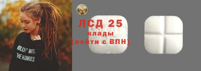 ECSTASY Алзамай