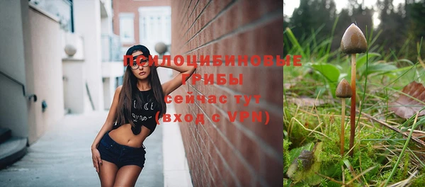 ECSTASY Алзамай