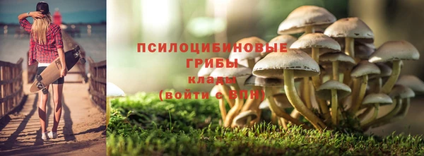 ECSTASY Алзамай
