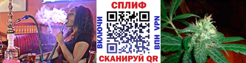 цены наркотик  Болхов  МАРИХУАНА марихуана 